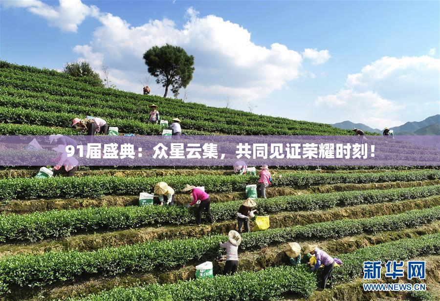91届盛典：众星云集，共同见证荣耀时刻！