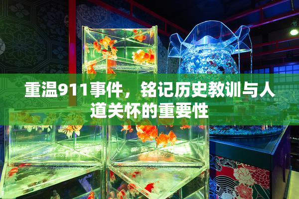 重温911事件，铭记历史教训与人道关怀的重要性