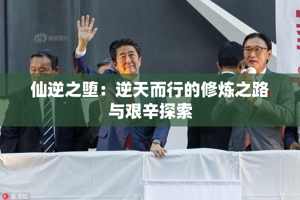 仙逆之堕：逆天而行的修炼之路与艰辛探索