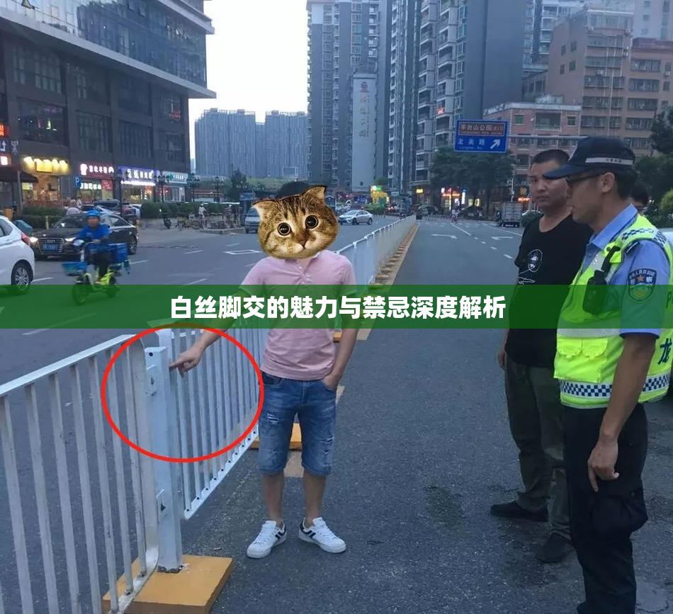 白丝脚交的魅力与禁忌深度解析