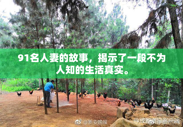 91名人妻的故事，揭示了一段不为人知的生活真实。