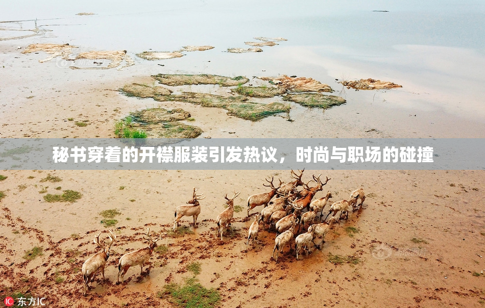 秘书穿着的开襟服装引发热议，时尚与职场的碰撞