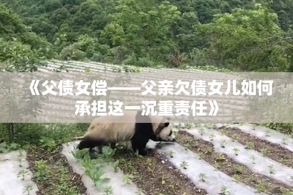 《父债女偿——父亲欠债女儿如何承担这一沉重责任》