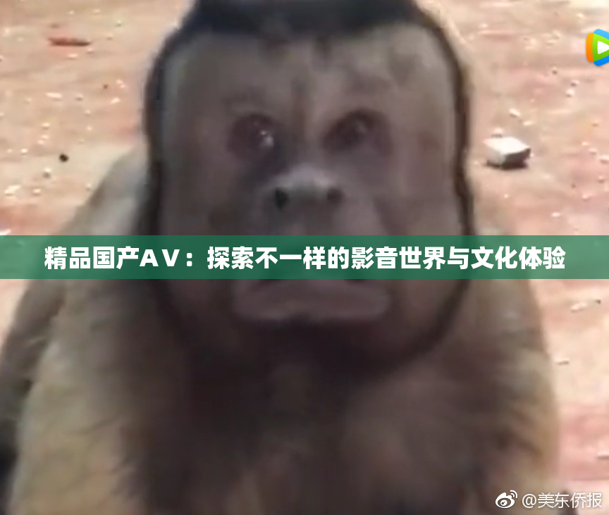 精品国产AⅤ：探索不一样的影音世界与文化体验