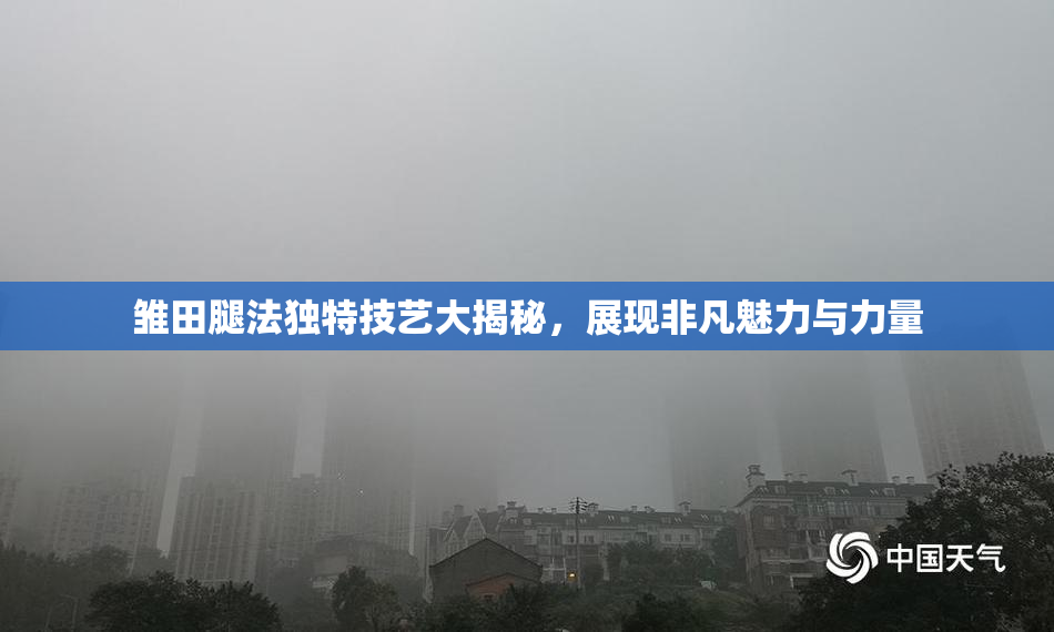 雏田腿法独特技艺大揭秘，展现非凡魅力与力量