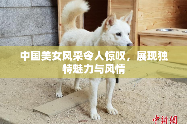中国美女风采令人惊叹，展现独特魅力与风情