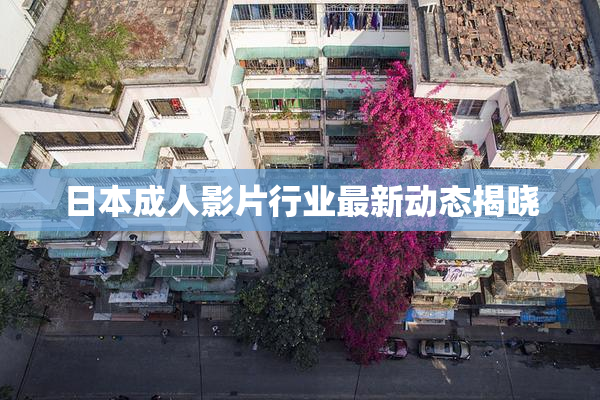 日本成人影片行业最新动态揭晓