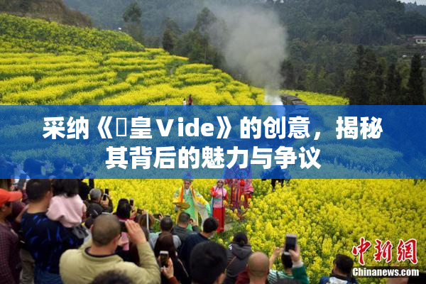 采纳《嘼皇Ⅴide》的创意，揭秘其背后的魅力与争议