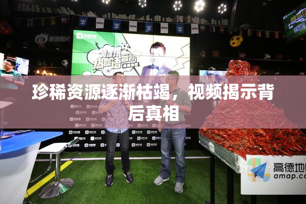 珍稀资源逐渐枯竭，视频揭示背后真相