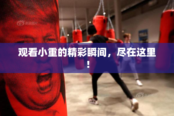 观看小重的精彩瞬间，尽在这里！