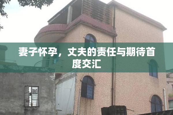 妻子怀孕，丈夫的责任与期待首度交汇