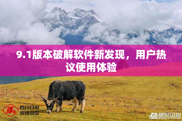 9.1版本破解软件新发现，用户热议使用体验