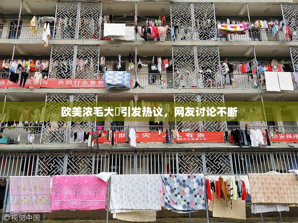 欧美浓毛大泬引发热议，网友讨论不断