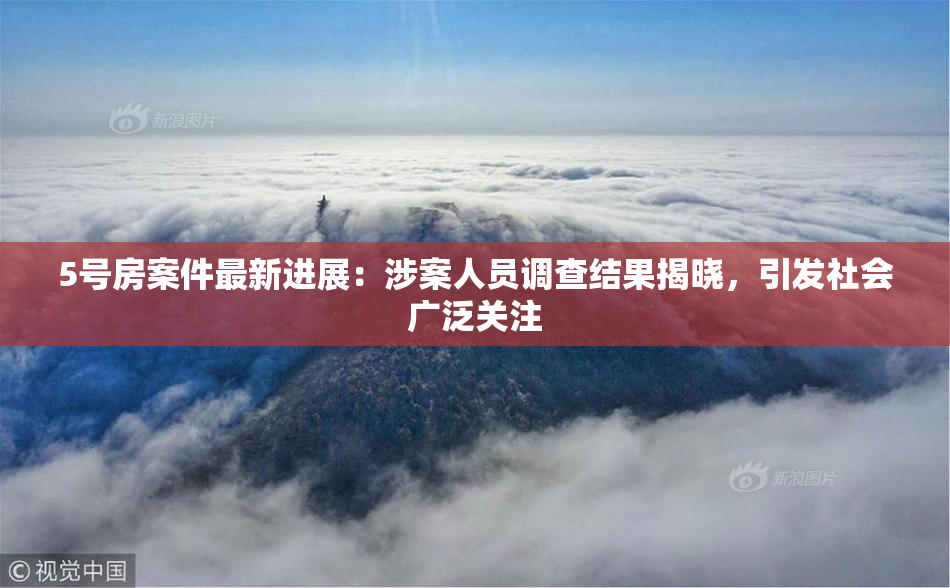 5号房案件最新进展：涉案人员调查结果揭晓，引发社会广泛关注