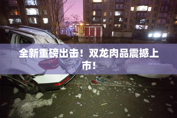 全新重磅出击！双龙肉品震撼上市！