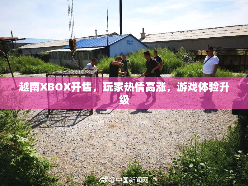 越南XBOX开售，玩家热情高涨，游戏体验升级