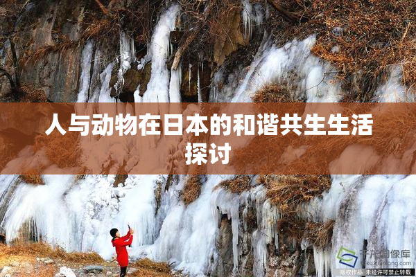 人与动物在日本的和谐共生生活探讨