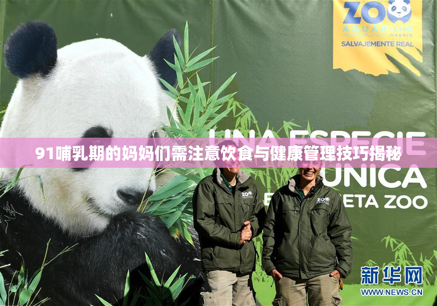 91哺乳期的妈妈们需注意饮食与健康管理技巧揭秘