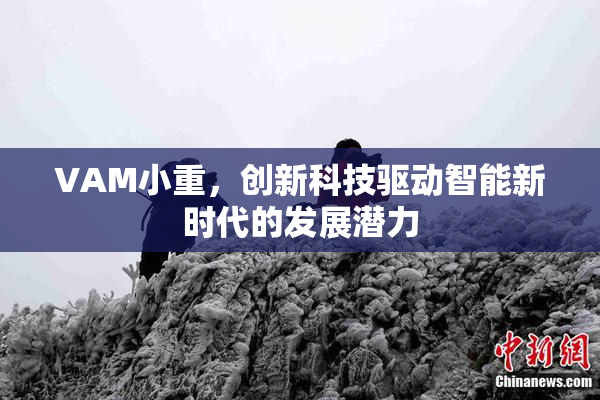 VAM小重，创新科技驱动智能新时代的发展潜力
