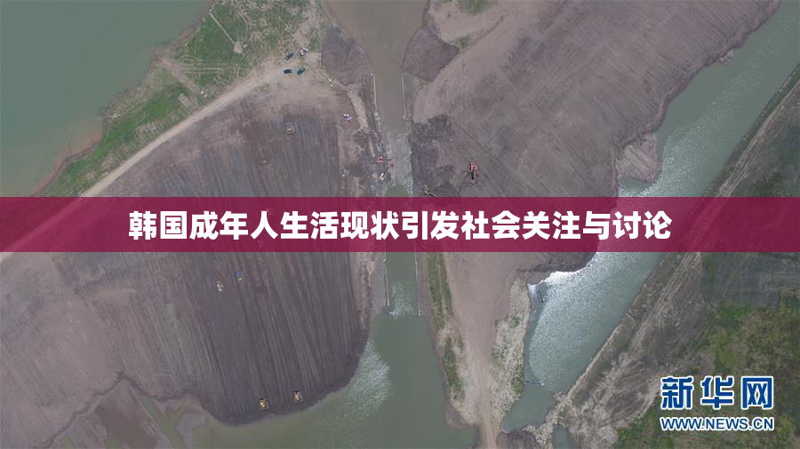 韩国成年人生活现状引发社会关注与讨论