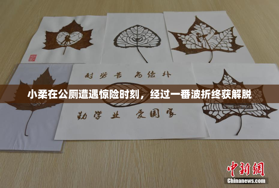 小柔在公厕遭遇惊险时刻，经过一番波折终获解脱