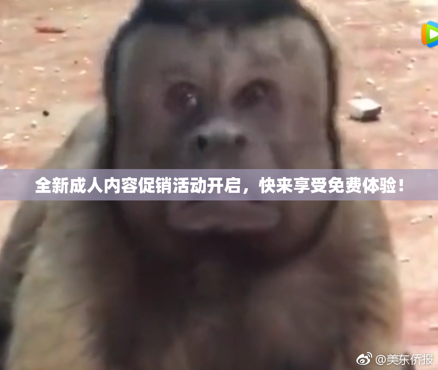 全新成人内容促销活动开启，快来享受免费体验！
