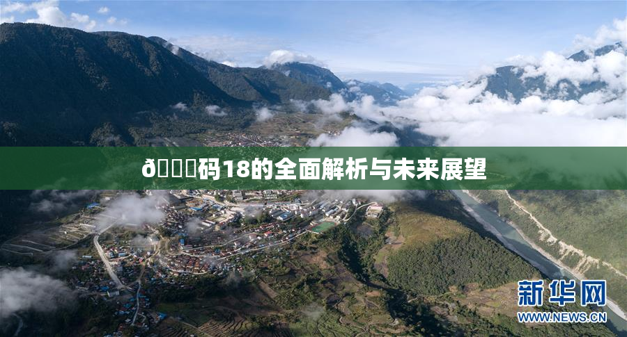 🈚码18的全面解析与未来展望