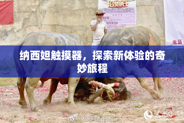 纳西妲触摸器，探索新体验的奇妙旅程