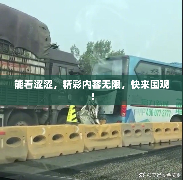 能看涩涩，精彩内容无限，快来围观！