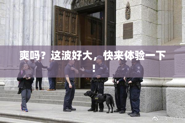 爽吗？这波好大，快来体验一下！