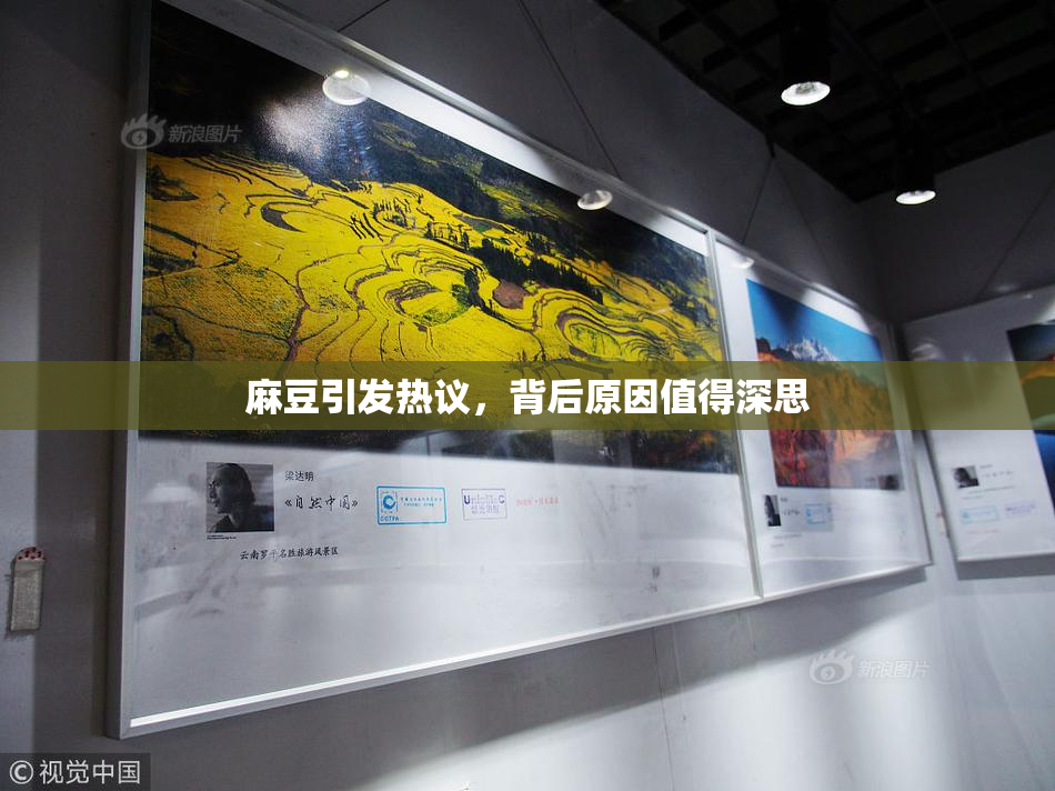 麻豆引发热议，背后原因值得深思