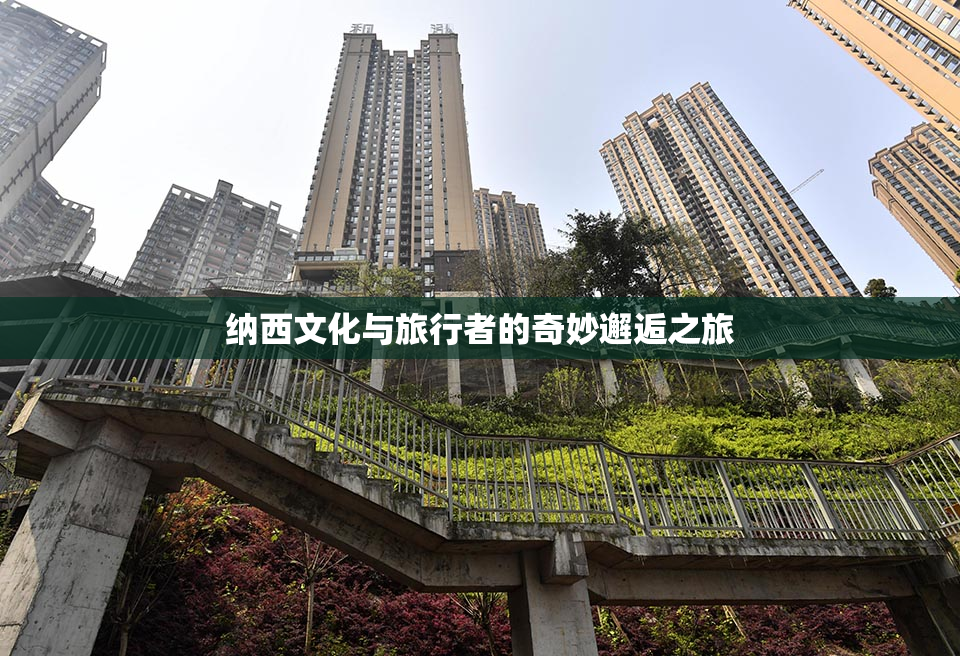 纳西文化与旅行者的奇妙邂逅之旅