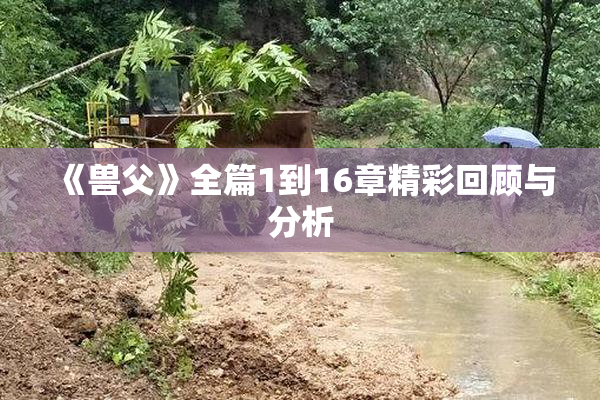 《兽父》全篇1到16章精彩回顾与分析