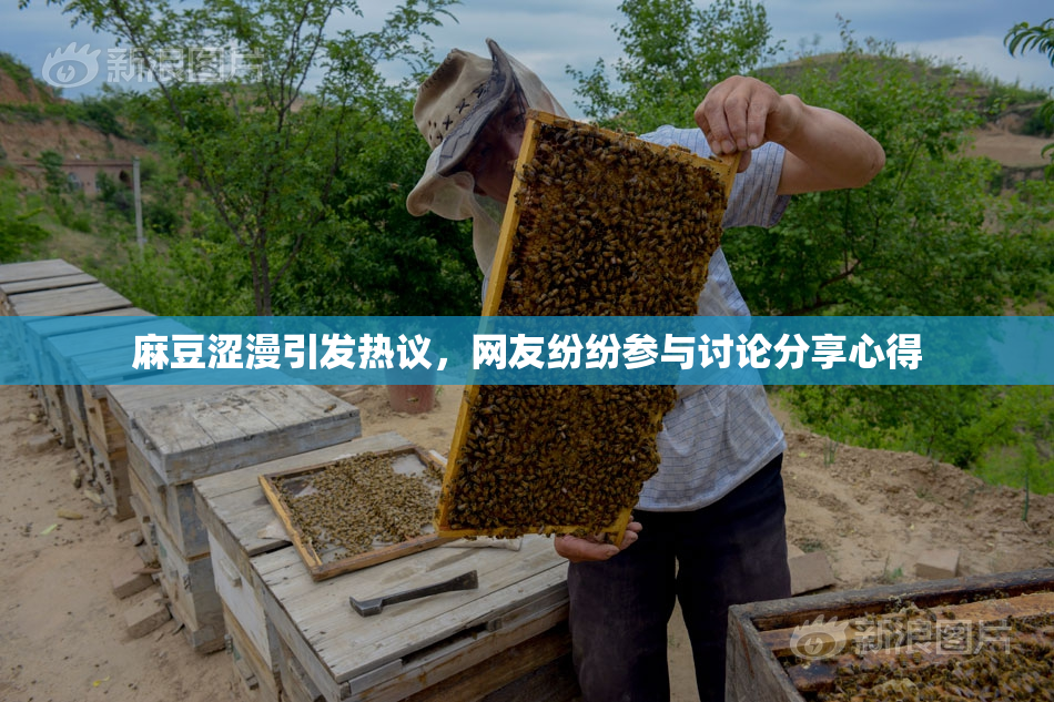 麻豆涩漫引发热议，网友纷纷参与讨论分享心得