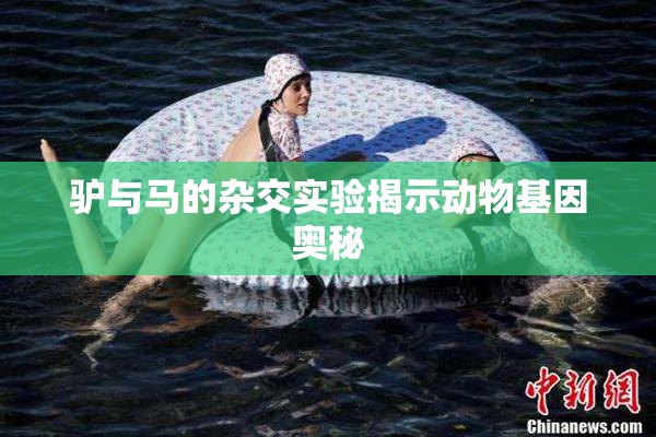 驴与马的杂交实验揭示动物基因奥秘