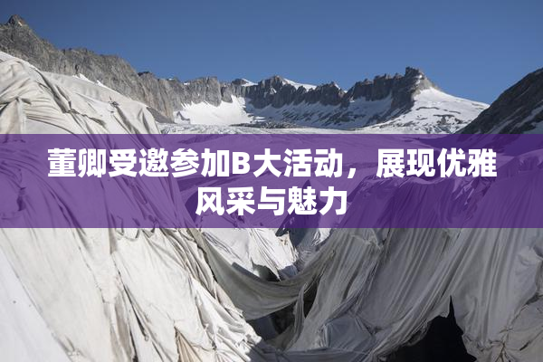 董卿受邀参加B大活动，展现优雅风采与魅力
