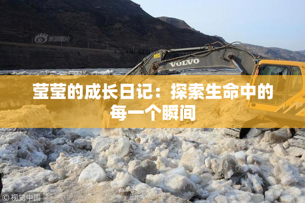 莹莹的成长日记：探索生命中的每一个瞬间