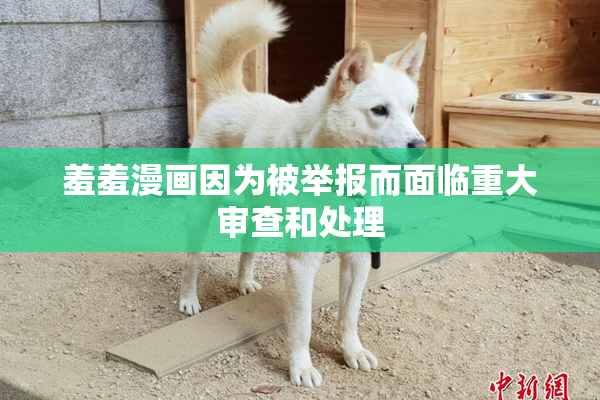 羞羞漫画因为被举报而面临重大审查和处理