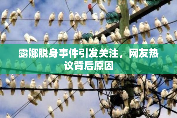 露娜脱身事件引发关注，网友热议背后原因