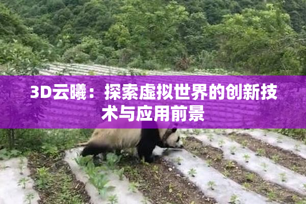 3D云曦：探索虚拟世界的创新技术与应用前景