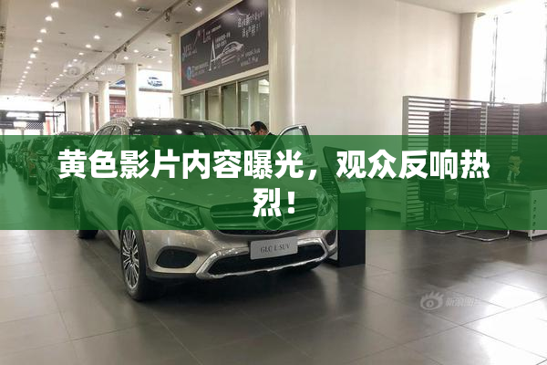 黄色影片内容曝光，观众反响热烈！