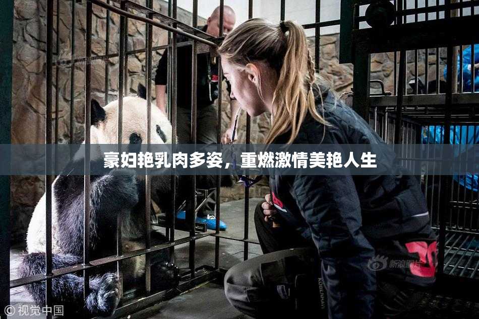 豪妇艳乳肉多姿，重燃激情美艳人生