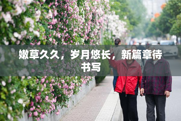 嫩草久久，岁月悠长，新篇章待书写