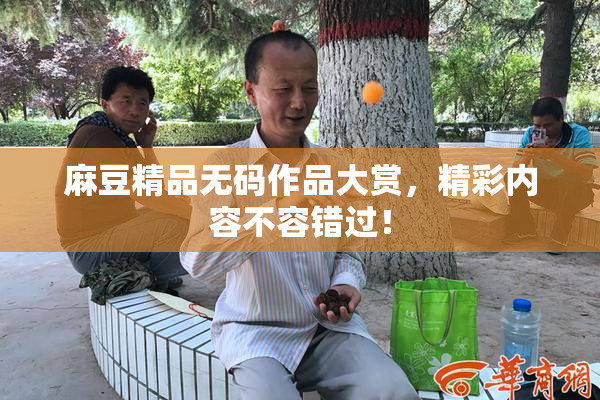 麻豆精品无码作品大赏，精彩内容不容错过！