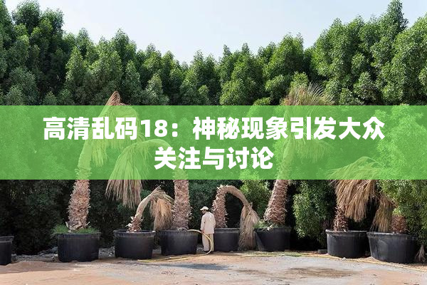 高清乱码18：神秘现象引发大众关注与讨论