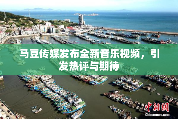 马豆传媒发布全新音乐视频，引发热评与期待