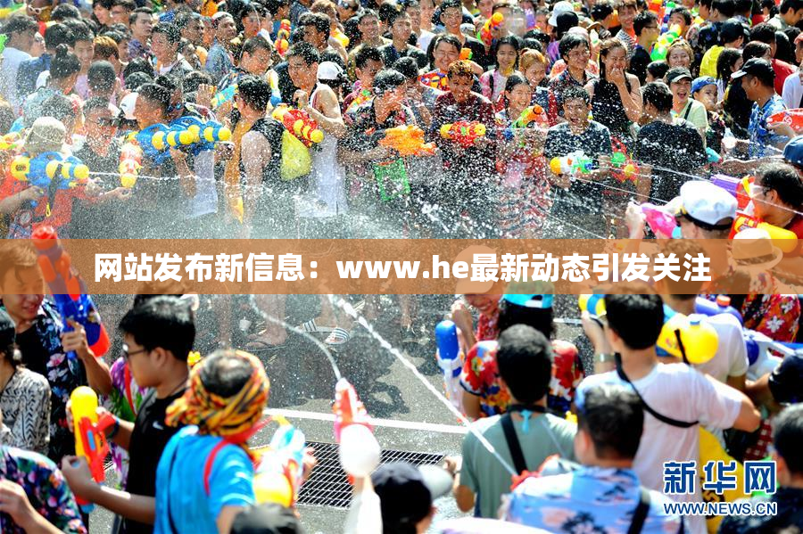 网站发布新信息：www.he最新动态引发关注