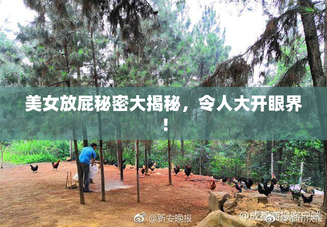 美女放屁秘密大揭秘，令人大开眼界！