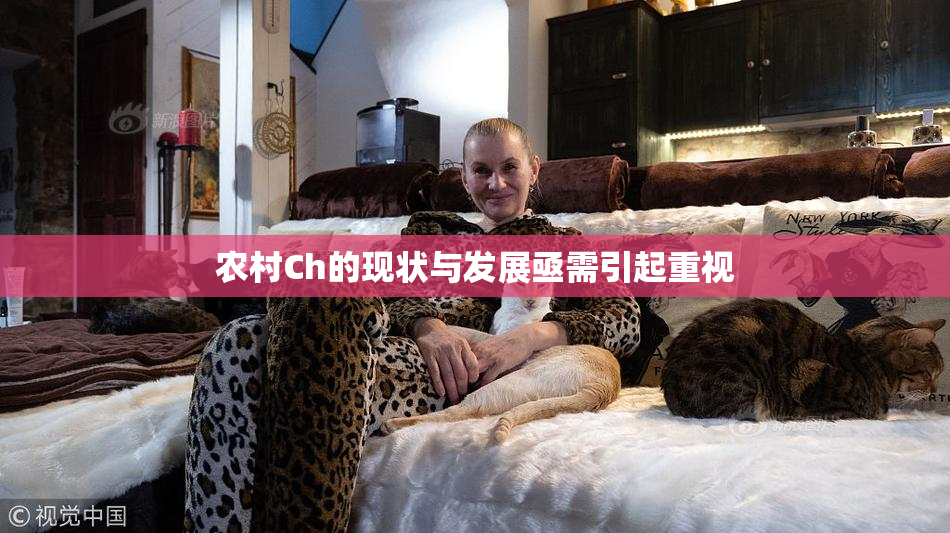 农村Ch的现状与发展亟需引起重视