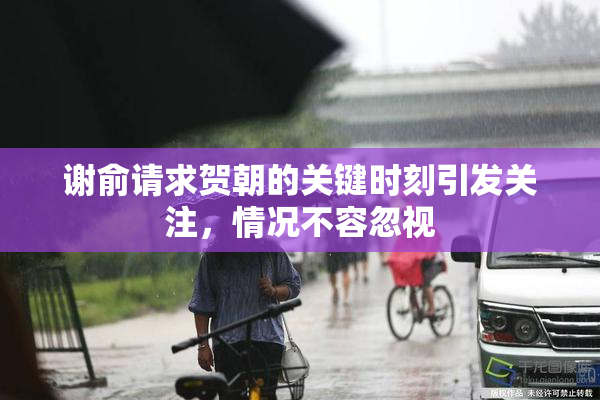 谢俞请求贺朝的关键时刻引发关注，情况不容忽视